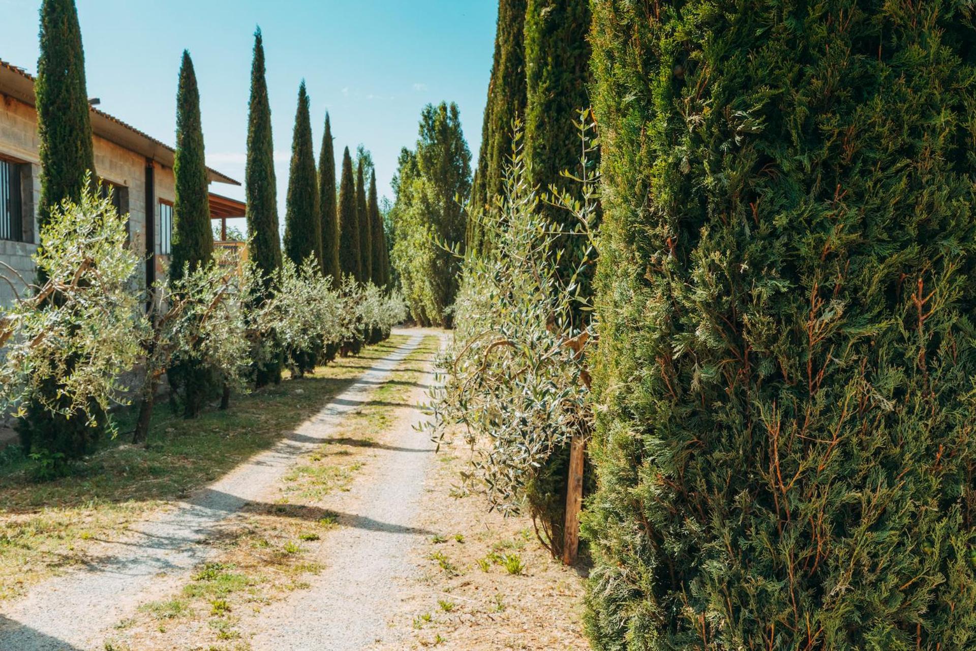 Agriturismo Il Borgo Cortona Esterno foto