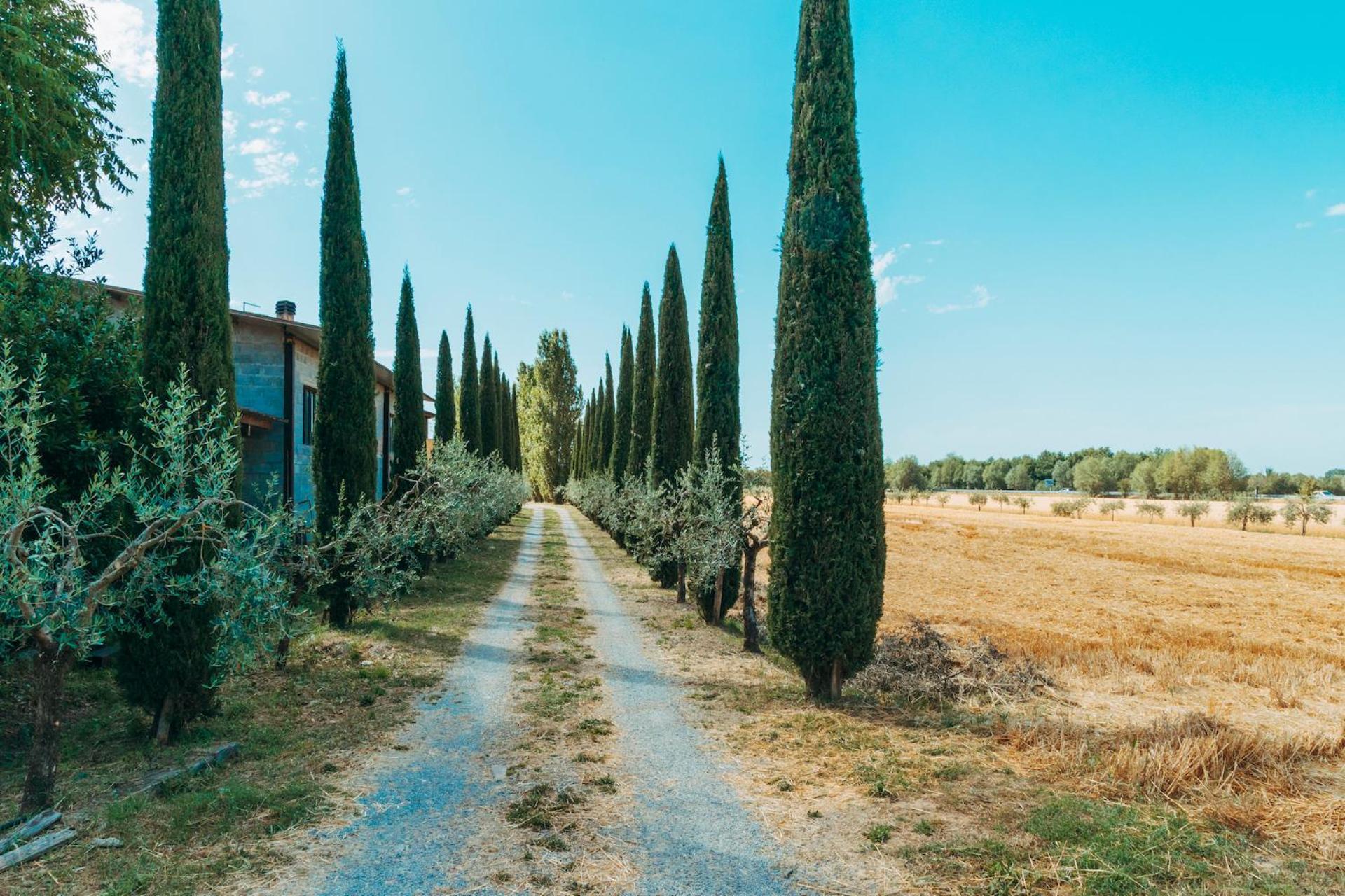 Agriturismo Il Borgo Cortona Esterno foto