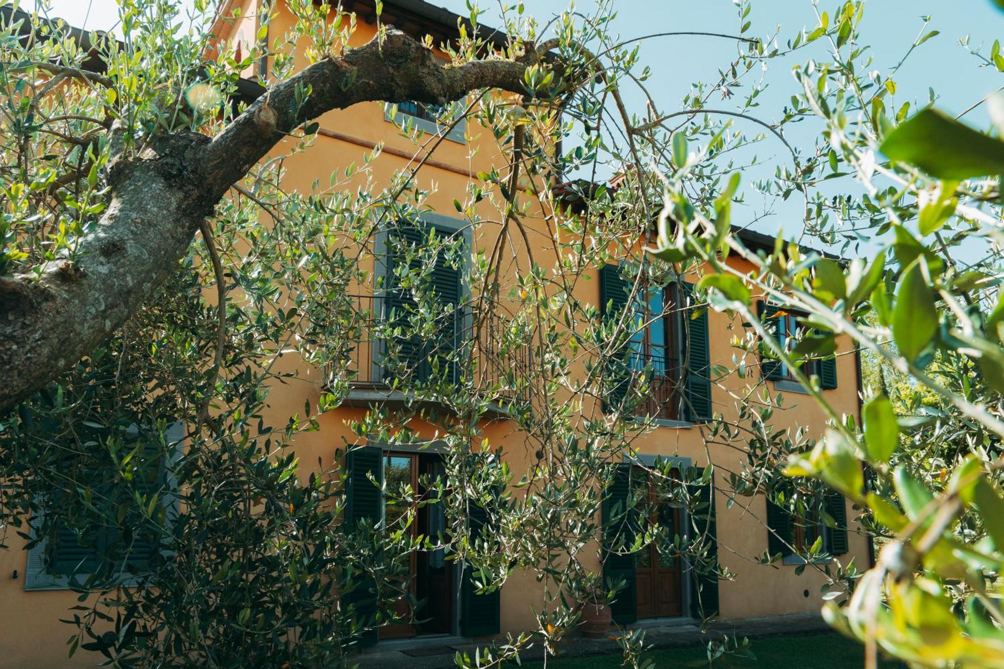 Agriturismo Il Borgo Cortona Esterno foto