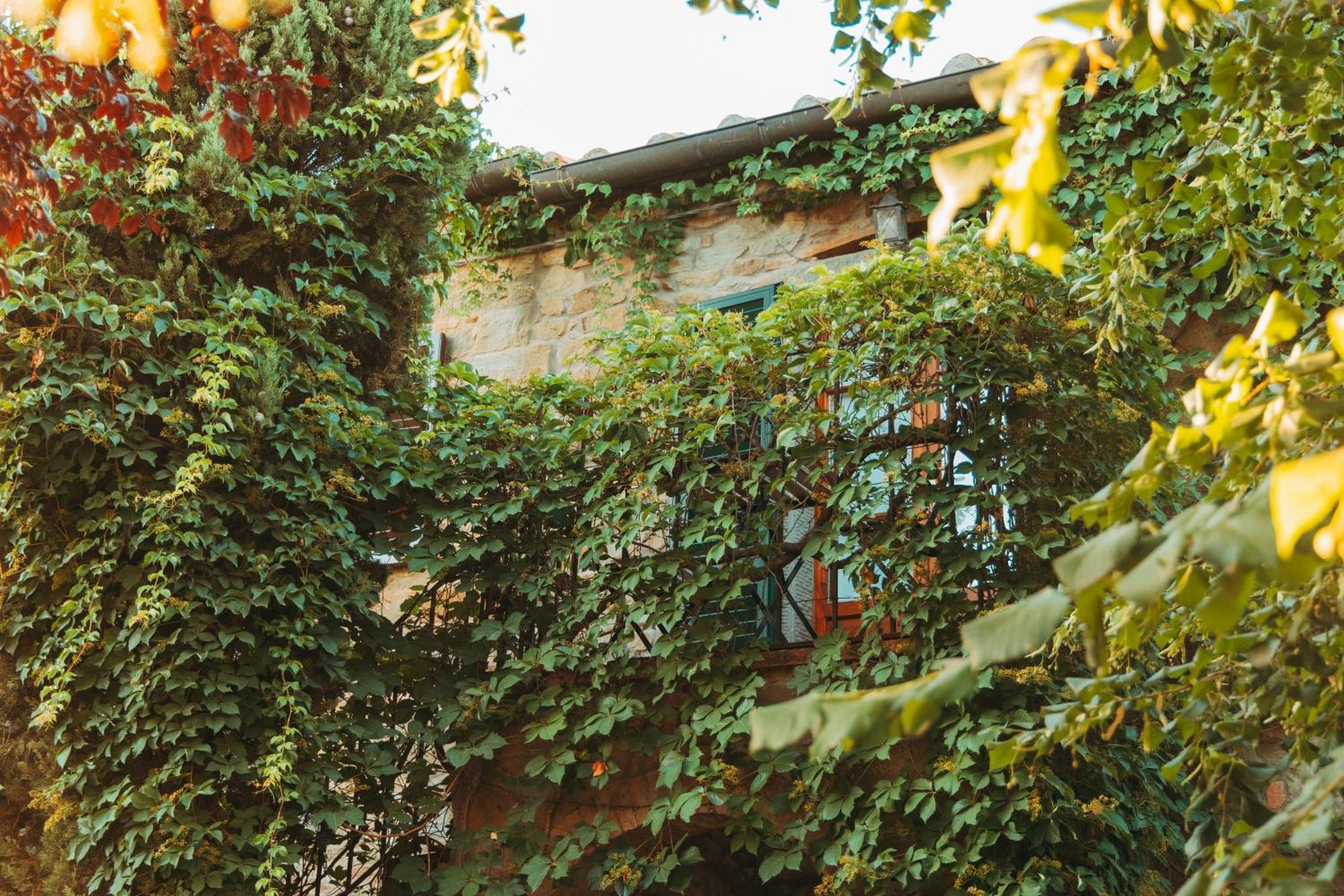 Agriturismo Il Borgo Cortona Esterno foto